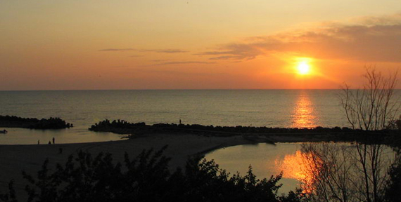 rasarit